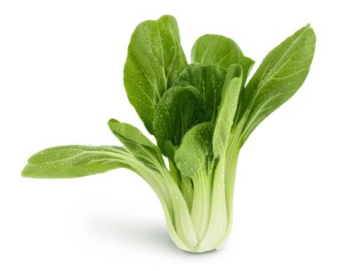 Taze pak choi lahanası beyaz arka planda izole edilmiş, geniş bir alana yayılmış..