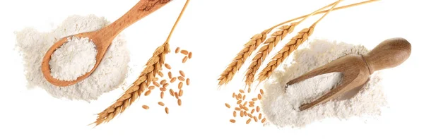 Uši Pšenice Hromadu Mouky Dřevěnou Lžící Izolovaných Bílém Pozadí Pohled — Stock fotografie