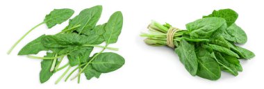 taze ıspanak üzerinde beyaz arka plan izole. Üstten Görünüm. Düz yatıyordu.