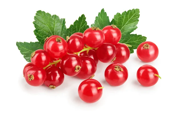 Piros Ribizli Berry Elszigetelt Fehér Background — Stock Fotó