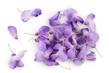 Wisteria çiçekleri beyaz arka planda izole edilmiş, geniş bir alana yayılmış. Üst Manzara. Düz yatıyordu.