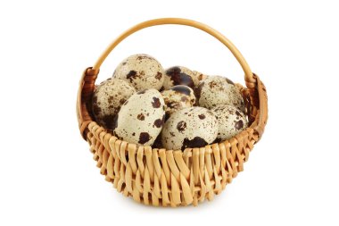 Raw quail egg in a wicker basket isolated on white background with full depth of field.
