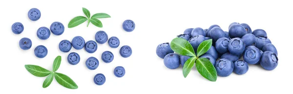 Fresh Ripe Blueberry Leaves Isolated White Background Top View Flat — Stock Photo, Image