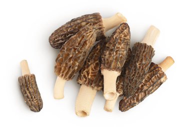 Çiğ morel mantarı beyaz arka planda izole edilmiş, geniş bir alana yayılmış. Üst Manzara. Düz yatıyordu