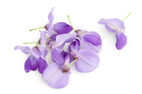 stock image Wisteria flowers isolated on white background with full depth of field. Top view. Flat lay