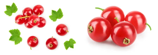 Rode Bessen Berry Geïsoleerd Een Witte Achtergrond Bovenaanzicht Plat Lag — Stockfoto