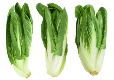 Organik taze pazı bitkisi beyaz arka planda izole edilmiş, geniş bir alana yayılmış..