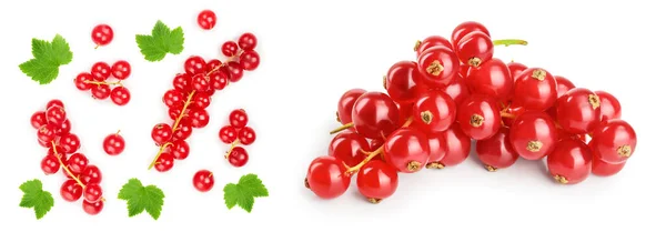 Merah Currant Berry Dengan Daun Terisolasi Pada Latar Belakang Putih — Stok Foto