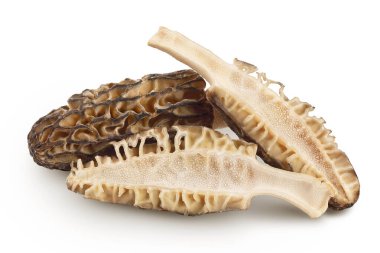 Çiğ morel mantarı, beyaz arka planda tam derinlikte izole edilmiş..