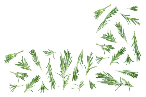 Fresh Green Sprig Rosemary Isolated White Background Copy Space Your — Stock Photo, Image