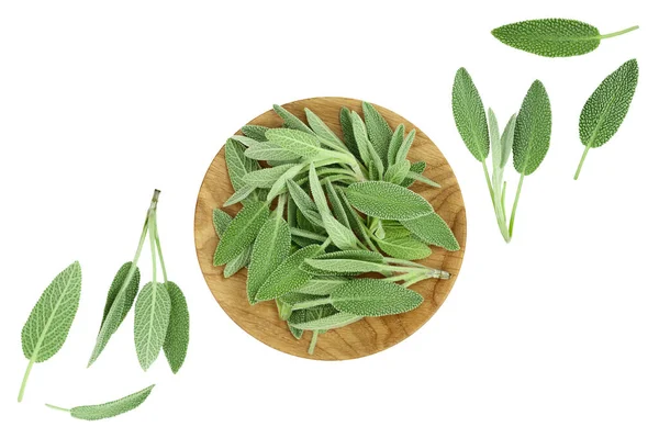 Fresh Sage Herb Wooden Bowl Isolated White Background Top View — Stock fotografie