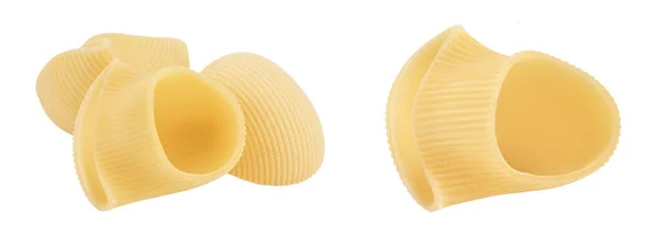 stock image lumaconi pasta isolated on white background with  full depth of field.