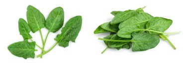 taze ıspanak üzerinde beyaz arka plan izole. Üstten Görünüm. Düz yatıyordu.