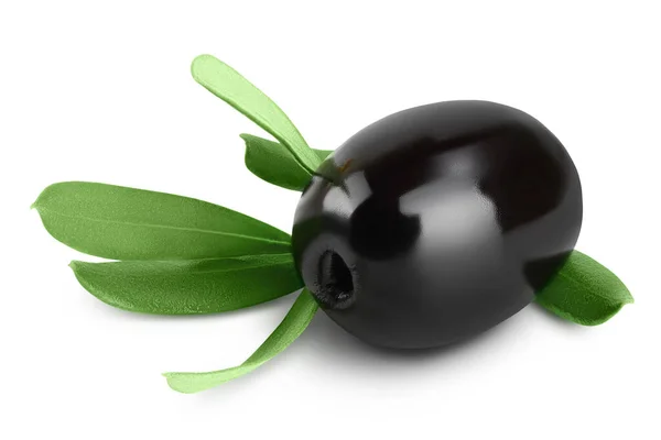 Black Olives Leaves Isolated White Background Full Depth Field — Stock Photo, Image