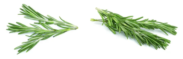 ローズマリーは 白い背景で隔離の新鮮な緑の小枝 平面図です フラットを置く — ストック写真