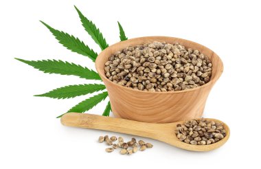 Ahşap kasedeki kenevir tohumları beyaz arka planda izole edilmiş, geniş bir alana yayılmış..