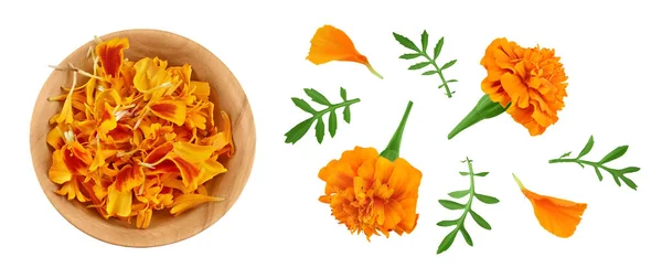 Fresh Marigold Tagetes Erecta Flower Isolated White Background Full Depth — Stock Photo, Image