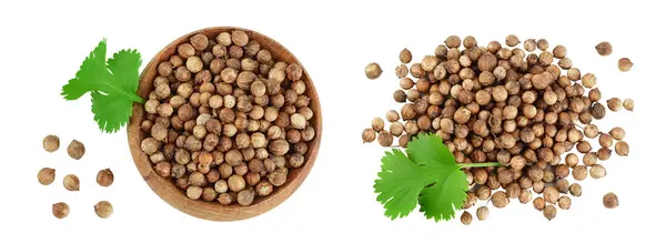 Dried Coriander Seeds Wooden Bowl Fresh Green Leaf Isolated White — Stock Photo, Image