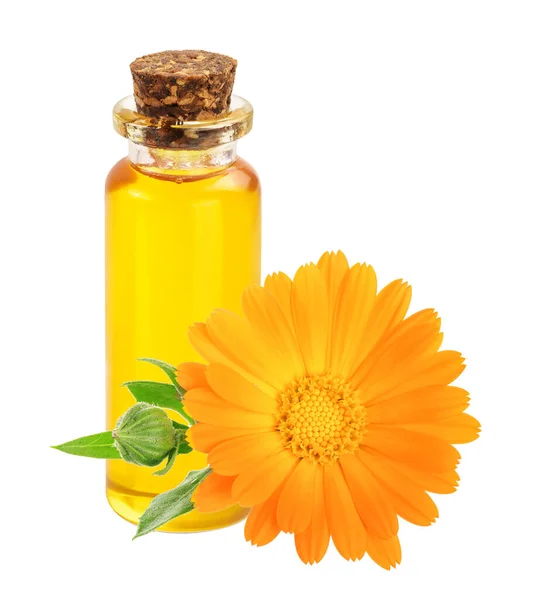 Óleo Essencial Aromaterapia Com Flor Calêndula Isolada Sobre Fundo Branco — Fotografia de Stock