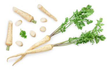 Beyaz arkaplanda yapraklı maydanoz kökü,