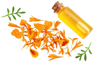 Taze kadife çiçeği ya da tagetes erekta çiçeği beyaz arka planda tam derinlikte izole edilmiş. Üst Manzara. Düz yatıyordu.