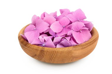 Beyaz arka planda izole edilmiş ahşap kasedeki pembe ortanca çiçeği..