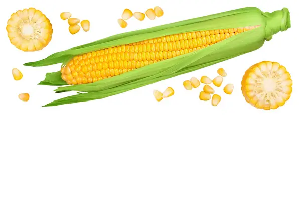 Ухо Кукурузы Изолированы Белом Фоне Вид Сверху Плоский Лежал — стоковое фото