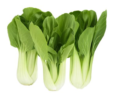 Taze pak choi lahanası beyaz arka planda izole edilmiş, geniş bir alana yayılmış..