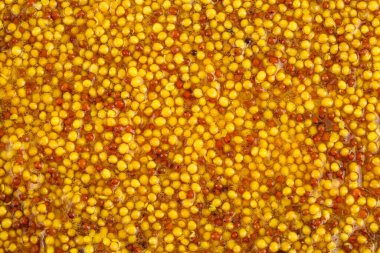 Arka plan olarak Fransız hardalı. Üst Manzara. Düz yatıyordu