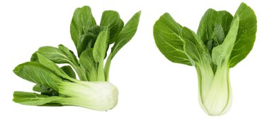 Taze pak choi lahanası beyaz arka planda izole edilmiş, geniş bir alana yayılmış..