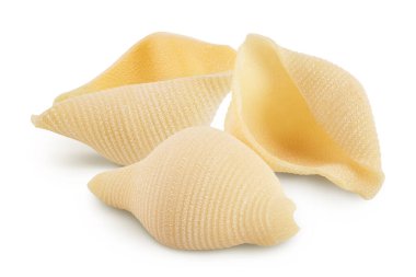 Konchiglioni İtalyan makarnası beyaz arka planda izole edilmiş, geniş bir alana yayılmış..