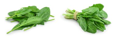 taze ıspanak üzerinde beyaz arka plan clouseup izole.