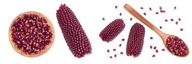 Ahşap kasedeki mor mısır tohumları beyaz arka planda izole edilmiş, geniş bir alana yayılmış. Üst Manzara. Düz yatıyordu.