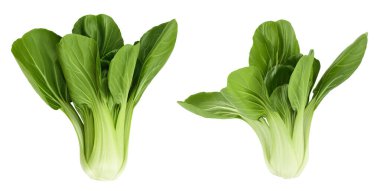 Beyaz arka planda taze pak choi lahanası var. Üst Manzara. Düz yatıyordu.