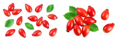 Rose kalçası beyaz arka planda izole edilmiş, geniş bir alana yayılmış. Üst Manzara. Düz yatıyordu