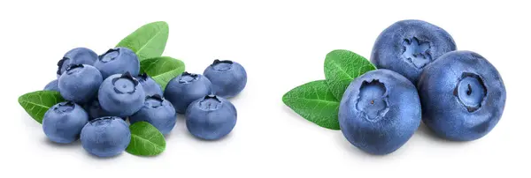 新鲜的蓝莓 叶子与白色背景特写隔离 实地的全部深度 免版税图库照片
