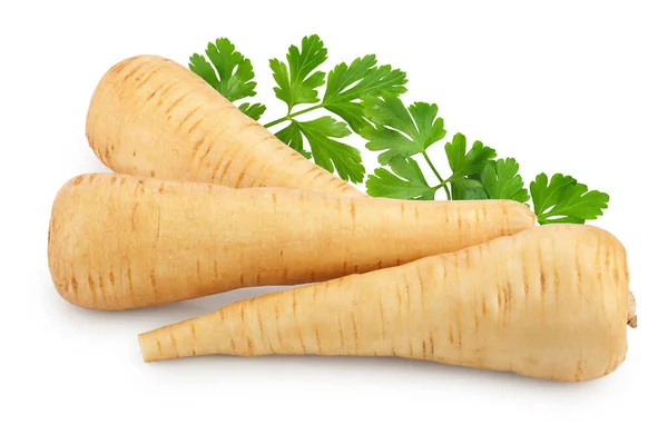 Parsnip Root Isolated White Background Closeup Stock Image