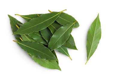 Taze Laurel yaprakları beyaz arka planda izole. Yeşil defne yaprağı. Üst Manzara. Düz yatıyordu