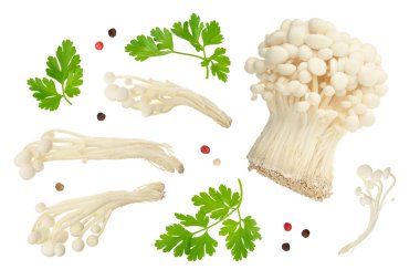 Enoki mantarı, beyaz arka planda izole edilmiş altın iğneli mantar. Üst Manzara. Düz yatıyordu.