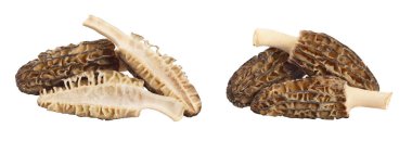 Çiğ morel mantarı, beyaz arka planda tam derinlikte izole edilmiş..