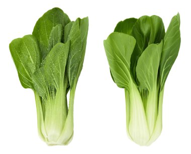 Taze pak choi lahanası beyaz arka planda izole edilmiş, geniş bir alana yayılmış..