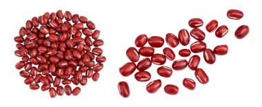 Kırmızı fasulye beyaz arka planda izole edilmiş. Üst Manzara. Düz yatıyordu