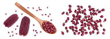 Mor mısır ya da tohumlu mısır, beyaz arka planda izole edilmiş, geniş bir alana yayılmış. Üst Manzara. Düz yatıyordu.