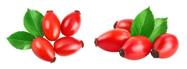 Rose kalçası beyaz arka planda izole edilmiş, geniş bir alana yayılmış. Üst Manzara. Düz yatıyordu