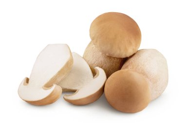 Taze Porcini Sefer mantarı beyaz arka planda izole edilmiş, geniş bir alana yayılmış..