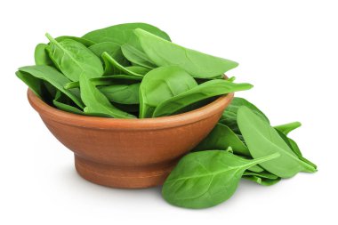 Beyaz arka planda izole edilmiş seramik kasede bebek ıspanak yaprakları..