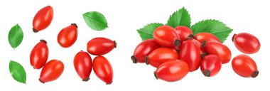 Rose kalçası beyaz arka planda izole edilmiş, geniş bir alana yayılmış. Üst Manzara. Düz yatıyordu