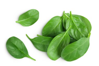 Bebek ıspanak yaprakları beyaz arka planda izole. Üst Manzara. Düz yatıyordu.