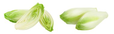 Chicory salad isolated on white background with  full depth of field clipart