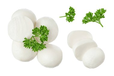 Beyaz arka planda maydanoz yapraklı mini mozzarella topları. Üst Manzara. Düz yatıyordu